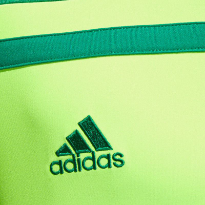 Bluzë futbolli adidas Regista 18 M CE8973, Climalite, për burra, jeshile