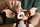 Set LEGO Gremlins Gizmo, figurë ndërtimi, për të rritur, shumëngjyrëshe