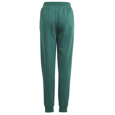 Pantallona adidas BLUV Q3 Pant Jr IA1553, për vajza, të gjelbra