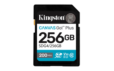 Kartë memorie Kingston Canvas Go Plus, SD, 256GB, Class 10