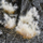 Tufa bari për dekor Gamers Grass Special Tufts, 12 mm, Spikey Winter Wild