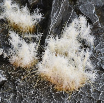 Tufa bari për dekor Gamers Grass Special Tufts, 12 mm, Spikey Winter Wild