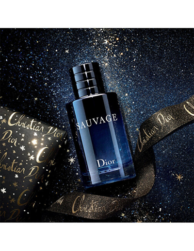 Eau de Toilette Dior Sauvage pCI393, 100 ml