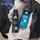 Xhel dushi 3 në 1 Adidas Ice Dive, ekstrakt deti, 400ml