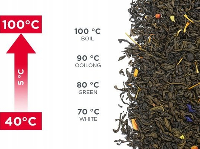 Çajnik elektrik Concept RK4100, 1.7L, rregullim temperature, gri