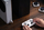 Gamepad 8Bitdo Lite SE, wireless 2.4G, Xbox Series X S Xbox One PC, i zi