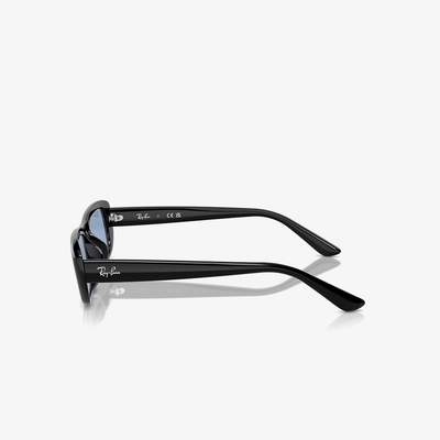 Ray-Ban RB4436D 667772 55