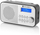Radio GoGEN DAB 300 N, e argjendtë