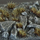 Tufëza bari dekorative Gamers Grass Burned Tufts, 6 mm, ngjyrë si e djegur