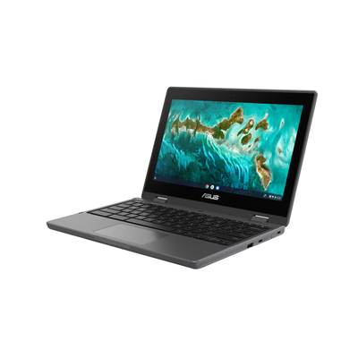 Laptop ASUS Chromebook CR11 Flip CR1100FKA N4500, 11,6\", 1366x768, 4GB, 64GB, UHD, gri