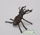 Фигурина инсект Collecta Stag Beetle 004-88703, реалистични детали, многубојна