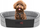 Shtrat qeni Foam Bed R1, 42x30 cm, i bardhë