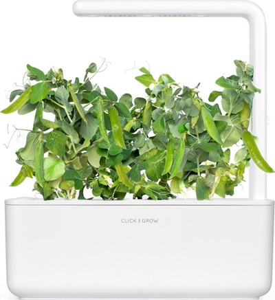 Kapsula bimore Click & Grow Dwarf Pea, set me 3 copë, për Smart Garden, jeshile
