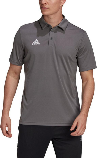 adidas Entrada 22 Polo Shirt, Team Grey Four, M