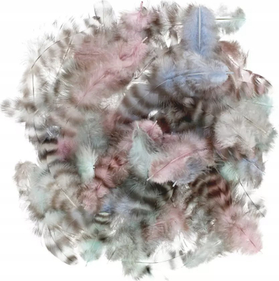 Pendë dekorative Hobby CraftFun, 2 g, rozë dhe blu