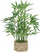 Bimë artificiale bambu Atmosphera Bamboo Ly, 46cm, me vazo, jeshile