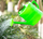 Кантичка за наводнување Black Forest Schwarzwald Garden 1600, 10L, пластика, зелена