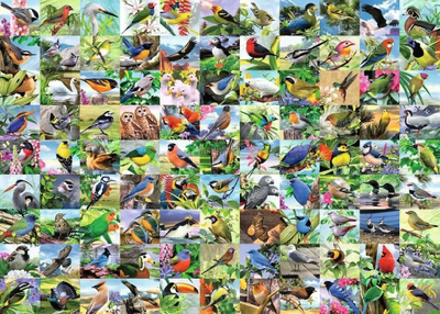 Puzzle Ravensburger 99 Delightful Birds, 300 copa, format i madh, shumëngjyrësh