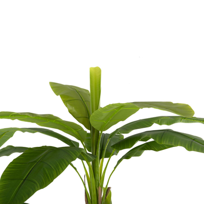 Bimë sintetike Pema Banane 200cm (HM7978)