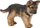 Figurë Russell Papo qenush German Shepherd Puppy (54039), kafe / e zezë