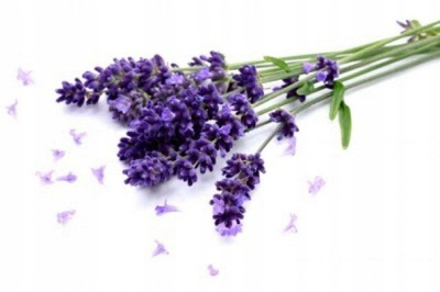 Difuzer arome Millefiori Milano Velvet Lavender, 350 ml
