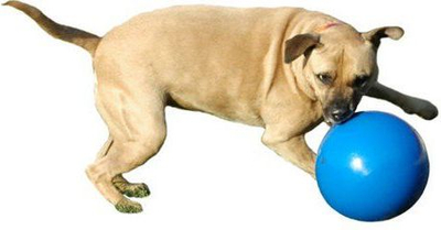 Top lodër për qen Boomer Ball S, 11 cm, blu