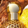 Parfum Guerlain Aqua Allegoria Oud Yuzu Forte, Eau de Parfum, 125ml