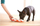 Lojë edukimi për qen Outward Hound Nina Ottosson Smart, niveli 1, plastike, shumëngjyrëshe