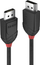 Kabllo Lindy Displayport (36491), 1m, i zi