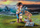 Lodër figurë Playmobil Novelmore Dario me vegla 71302, set për ndërtim, mbi 4 vjeç, me shumë ngjyra