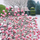 Kartolinë Susan Entwistle Winter Viburnum, me zarf, për dimër