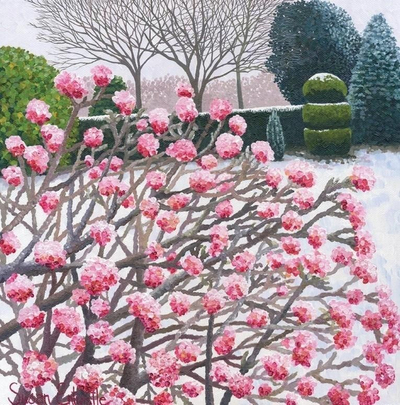 Kartolinë Susan Entwistle Winter Viburnum, me zarf, për dimër