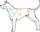 Ham Ami Play xhins i rregullueshëm, 50-95 cm, XL, blu