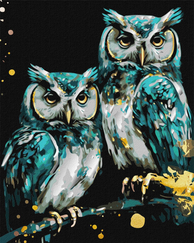 Set pikturimi me numra Rosa Wise Owls KHO6514, 40x50cm, bojë akrilike metalike, shumëngjyrëshe