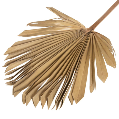 Dekor muri palme 30x102x3cm (HM7876)