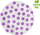 Pjata letre GoDan Dots, 18cm, 6 copë, lejla