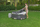 Надувлив кад за спа Bestway Lay-Z-Spa Aruba, 170x66cm, 110 AirJet, со тропски дизајн