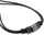 Qafore Fossil JF00501797