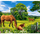 Set pikturimi me numra NIKI4, Horses In The Meadow, 40x50cm, 24 ngjyra akrilike