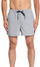Rroba banjo Quiksilver Volley 15 Sleeve EQYJV03407-SZP0, të hirta