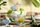 Set gotash për kalamaj Leonardo Kids Adventure, 3 copë, 215 ml, dinosaur