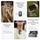 Mikrofon wireless DJI Mic 2, 2 transmetues 1 marrës, anulim inteligjent i zhurmës, 250 m