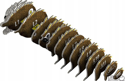 Puzzle 3D Eugy Echidna, model kartoni, shumëngjyrësh