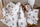 Set shtrati për bebe Muslin Bedding, 80x100 cm, pambuk muslin, me arusha