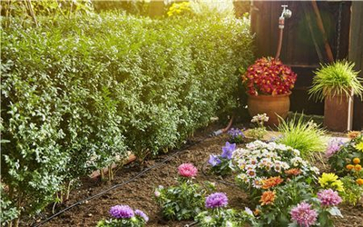 Sistem i ujitjes për bimë Gardena Set S (13010-20)