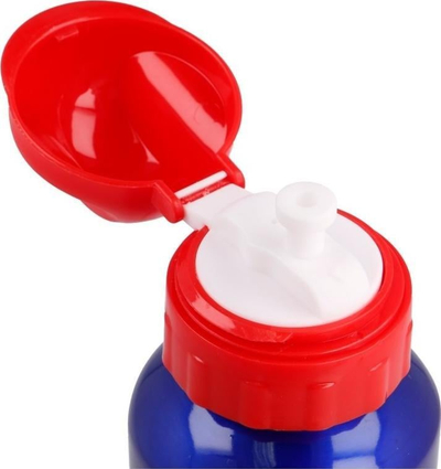 Шише за вода Дизни Мики Маус, 500 ml, алуминиум, повеќебојно
