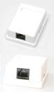 Prizë NetRack Outlet 2xRJ45 FTP Cat5e, e bardhë