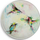 Magnet dekorativ Qualy Hummingbird, 56mm, shumëngjyrësh