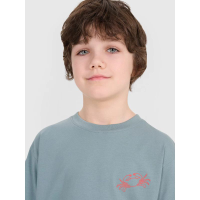 Блуза за момчиња 4F Oversize Tee TTSHM1914, полиестер, сина