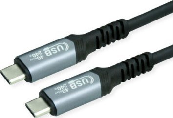 Kabllo USB Value USB4 USB C në USB C, 1m, 240W, e zezë